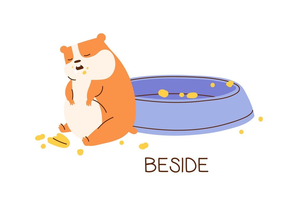 Çocuklar İçin   Prepozition  