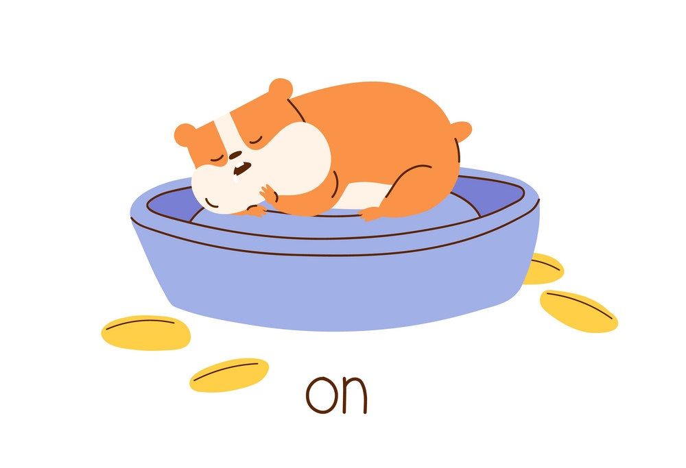 Çocuklar İçin   Prepozition  