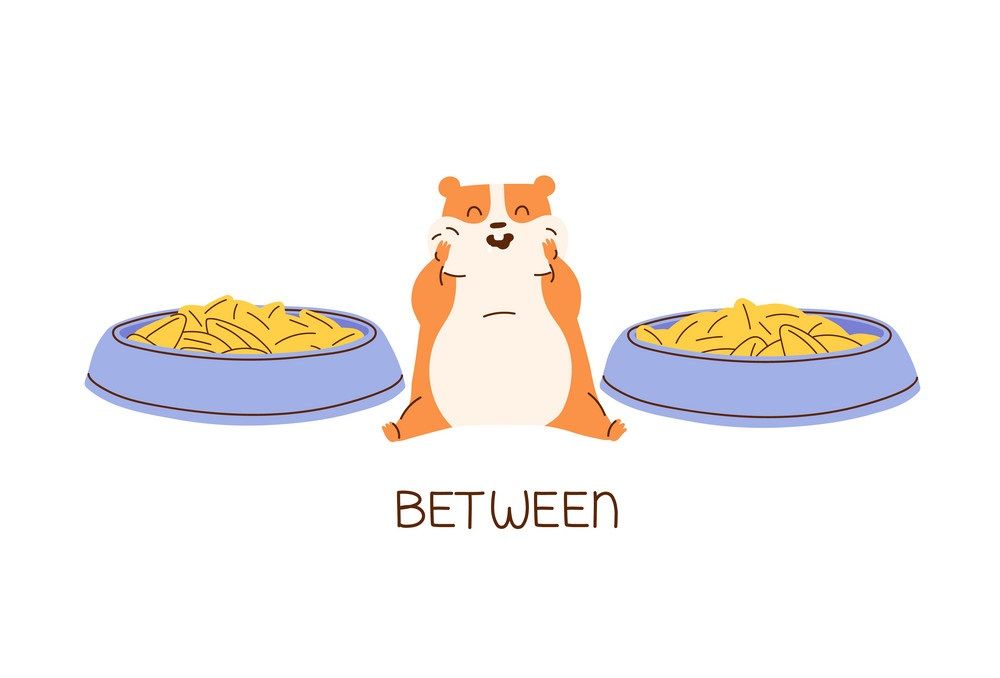 Çocuklar İçin   Prepozition  