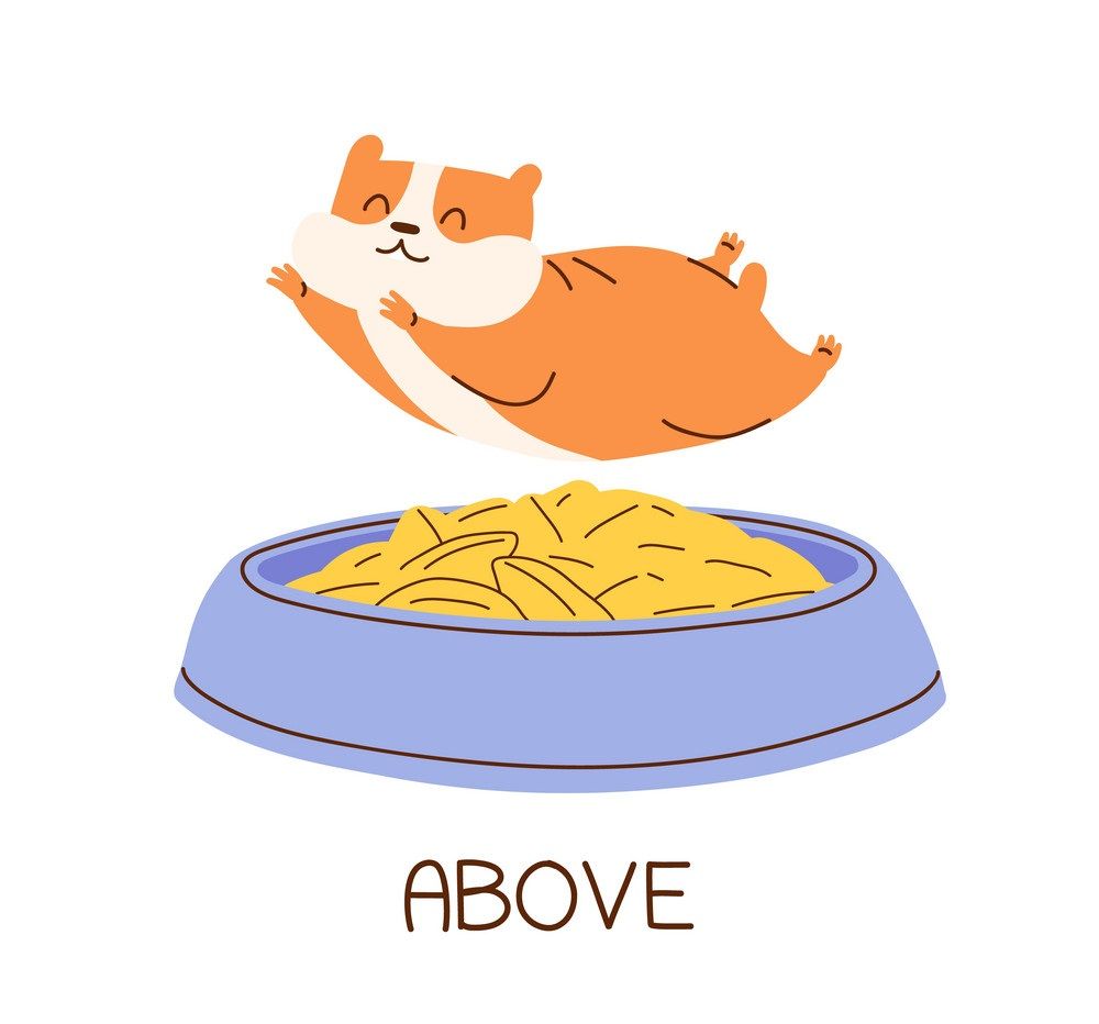 Çocuklar İçin   Prepozition  