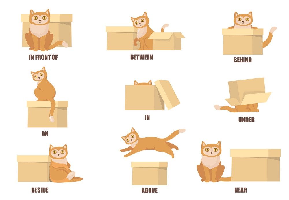 Çocuklar İçin   Prepozition  