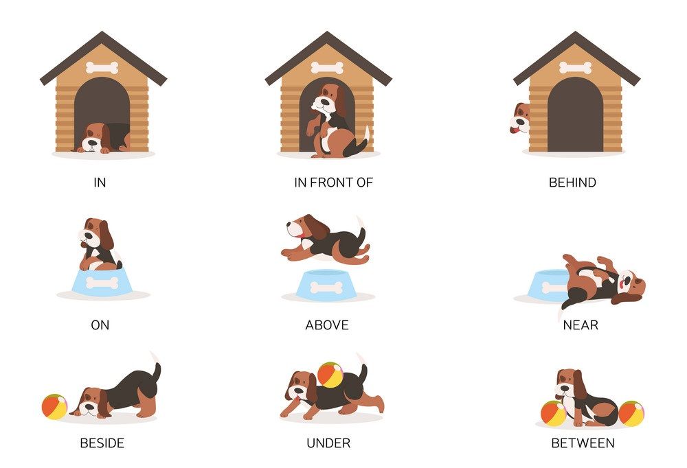 Çocuklar İçin   Prepozition  