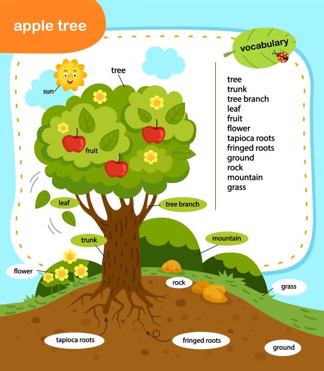 Çocuklar İçin   Workshop  