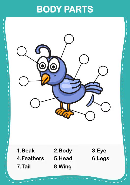 Çocuklar İçin   Workshop  