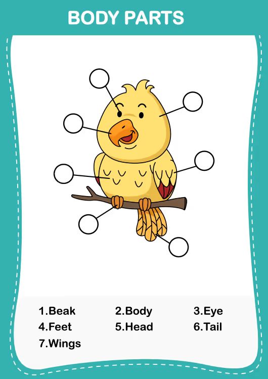 Çocuklar İçin   Workshop  