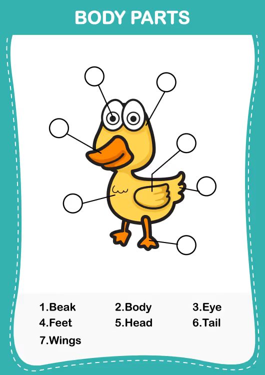 Çocuklar İçin   Workshop  