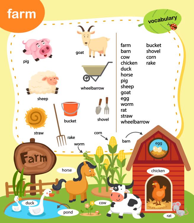 Çocuklar İçin   Workshop  