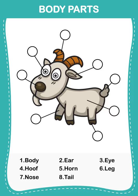 Çocuklar İçin   Workshop  