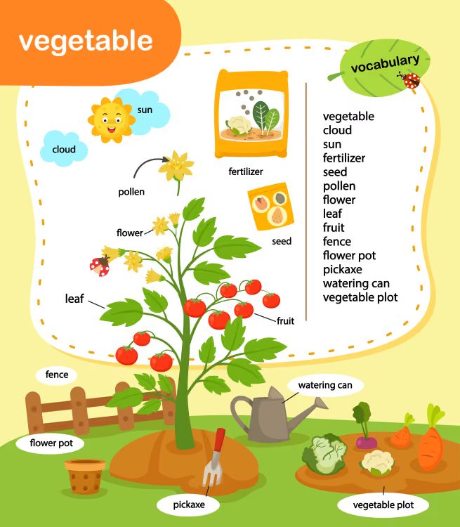 Çocuklar İçin   Workshop  