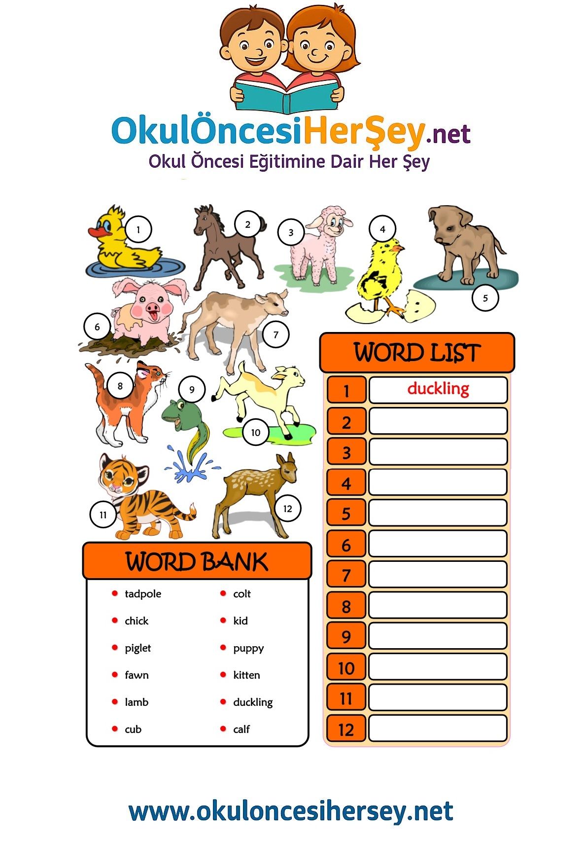 Çocuklar İçin   Kelimeyi Bul ve Yaz  
