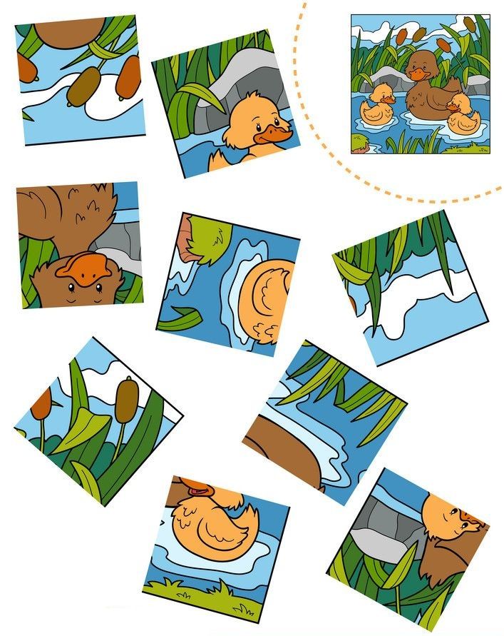 Kes Yapıştır Çalışmaları