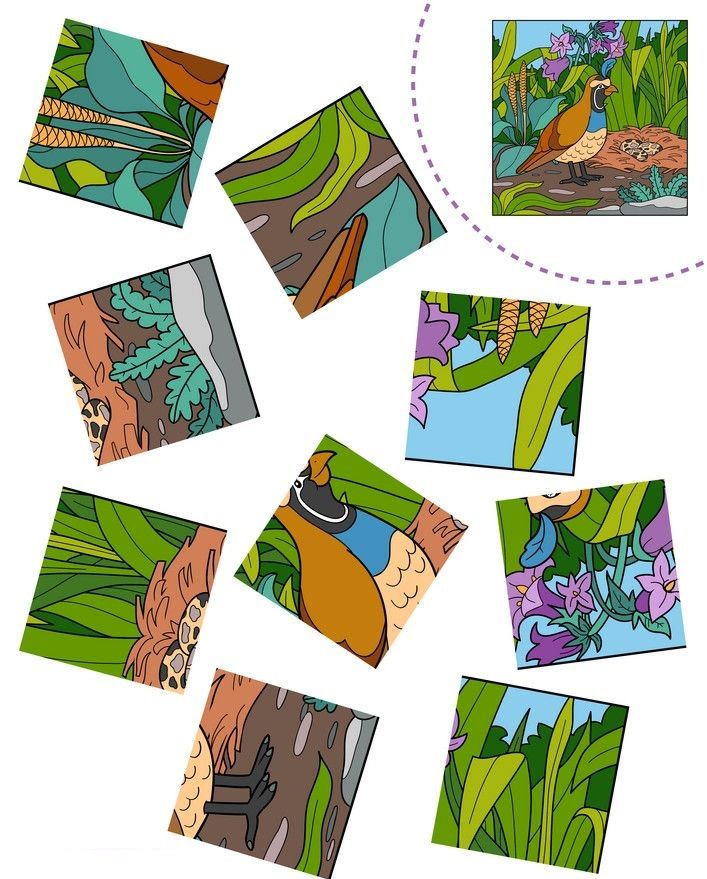 Kes Yapıştır Çalışmaları