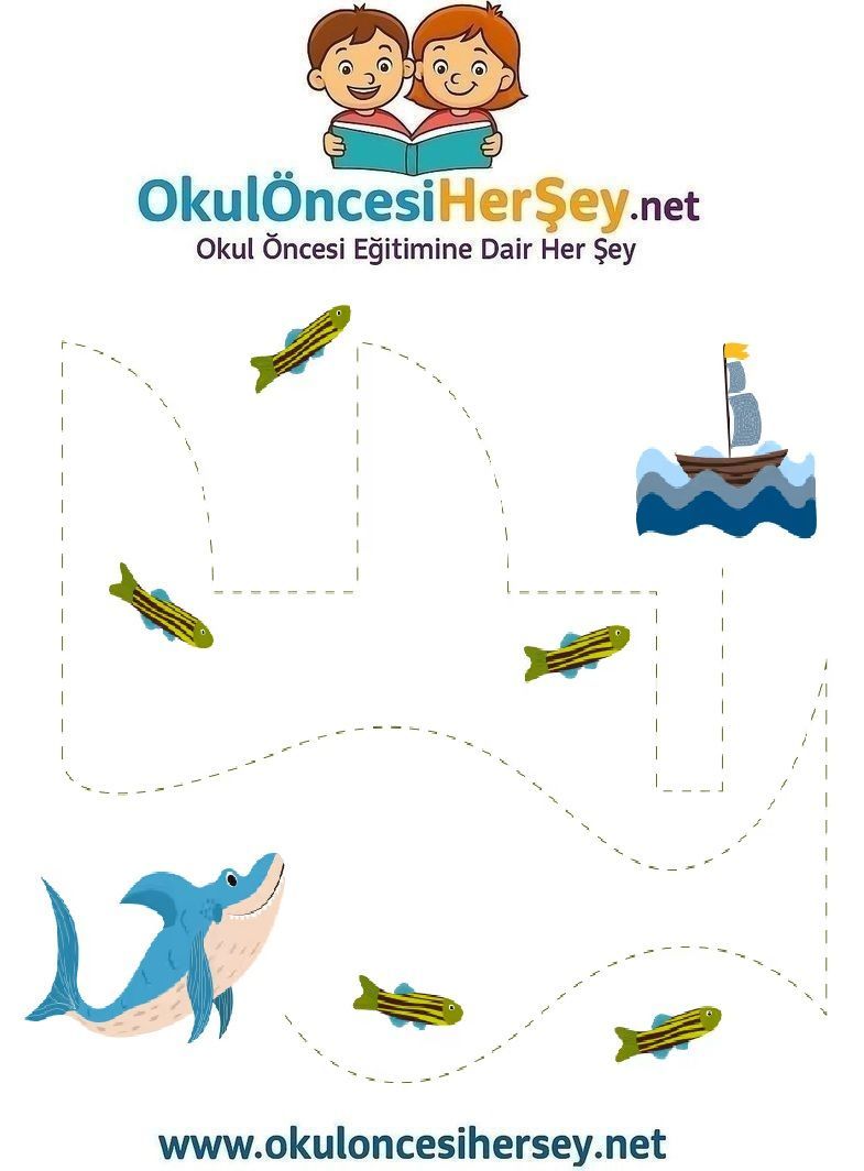 Çizgi Çalışmaları