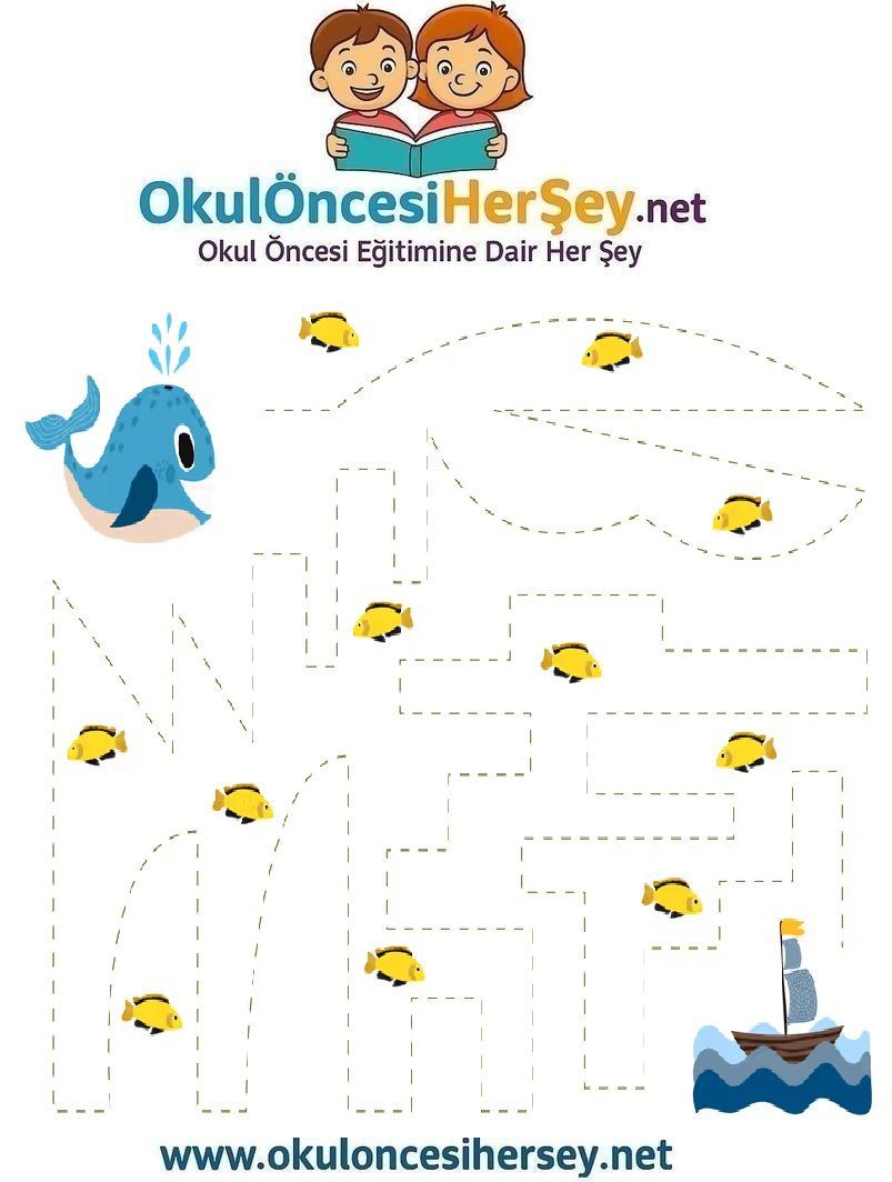 Çizgi Çalışmaları