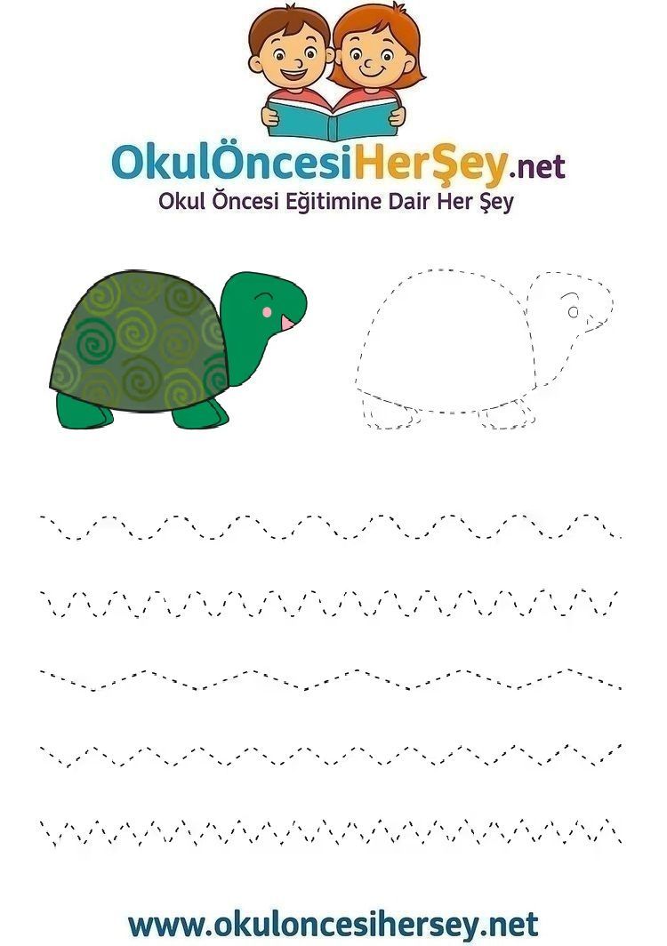 Çizgi Çalışmaları