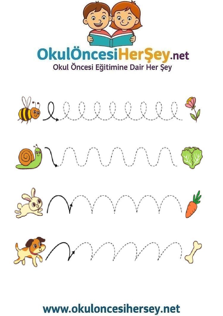 Çizgi Çalışmaları