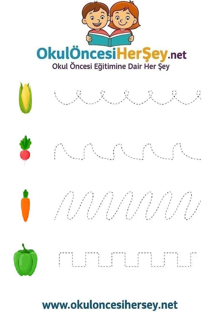 Çizgi Çalışmaları