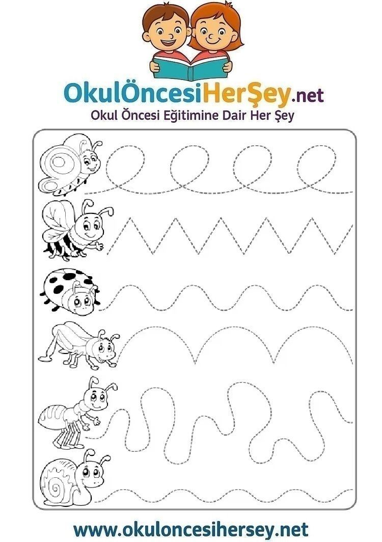 Çizgi Çalışmaları