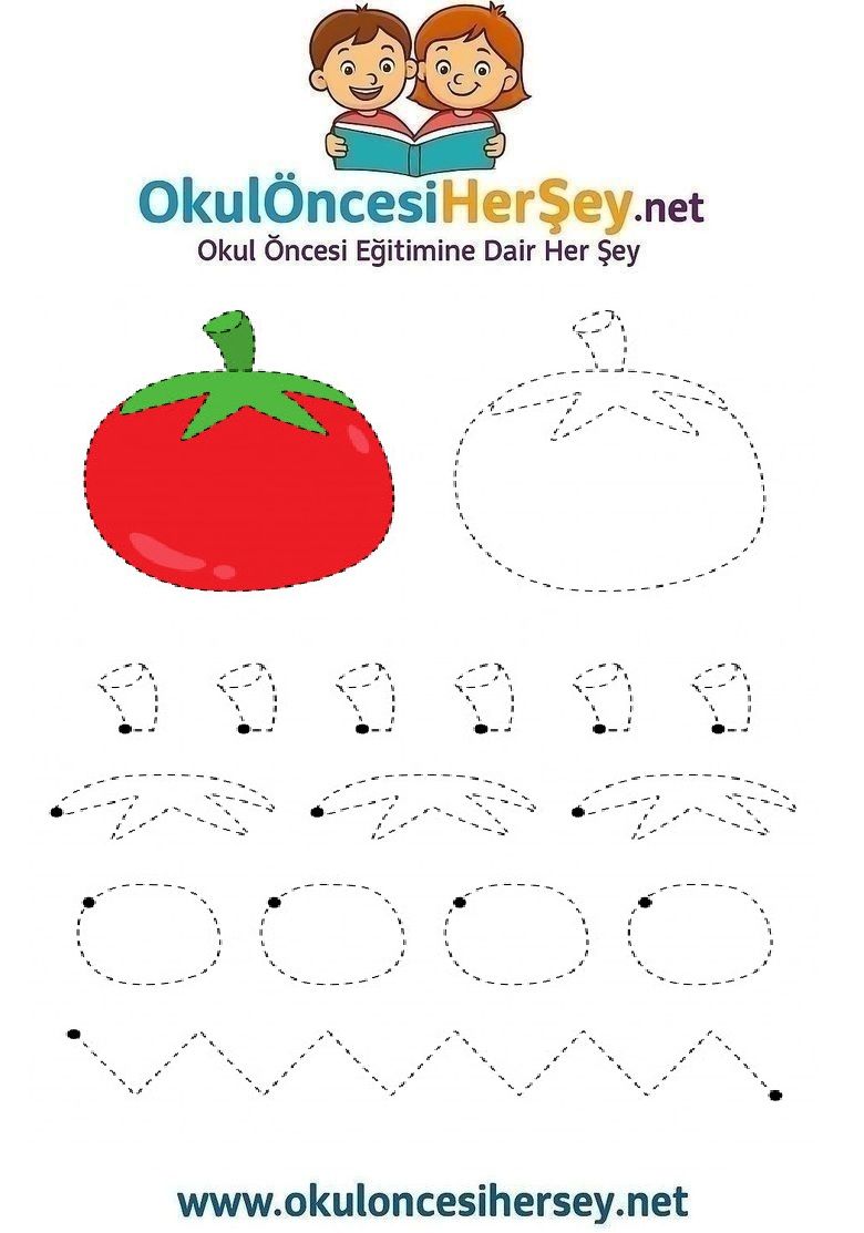 Çizgi Çalışmaları