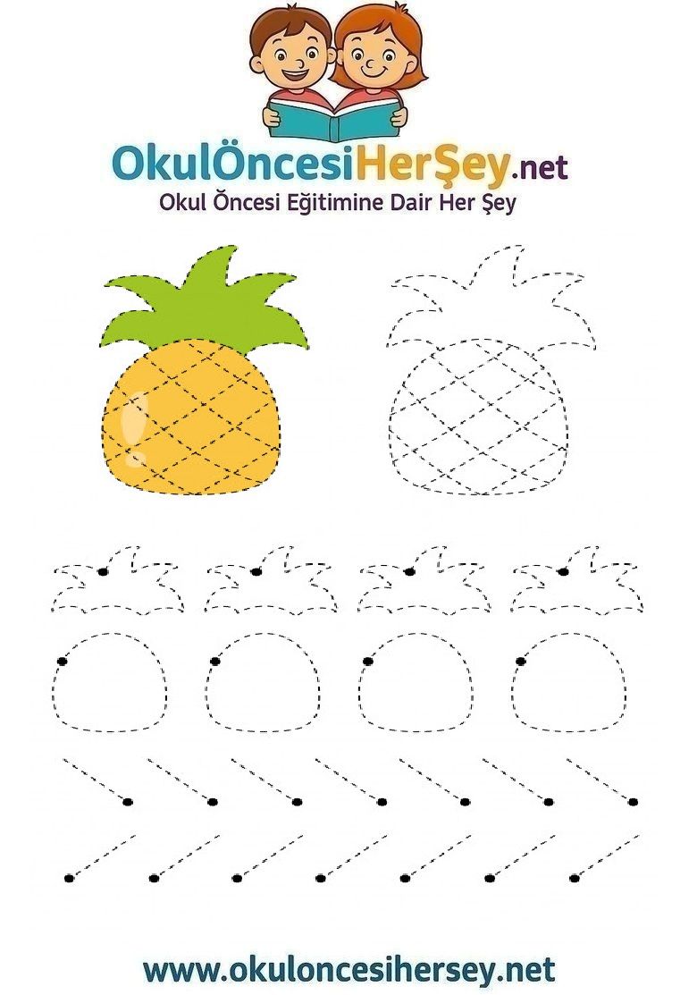 Çizgi Çalışmaları