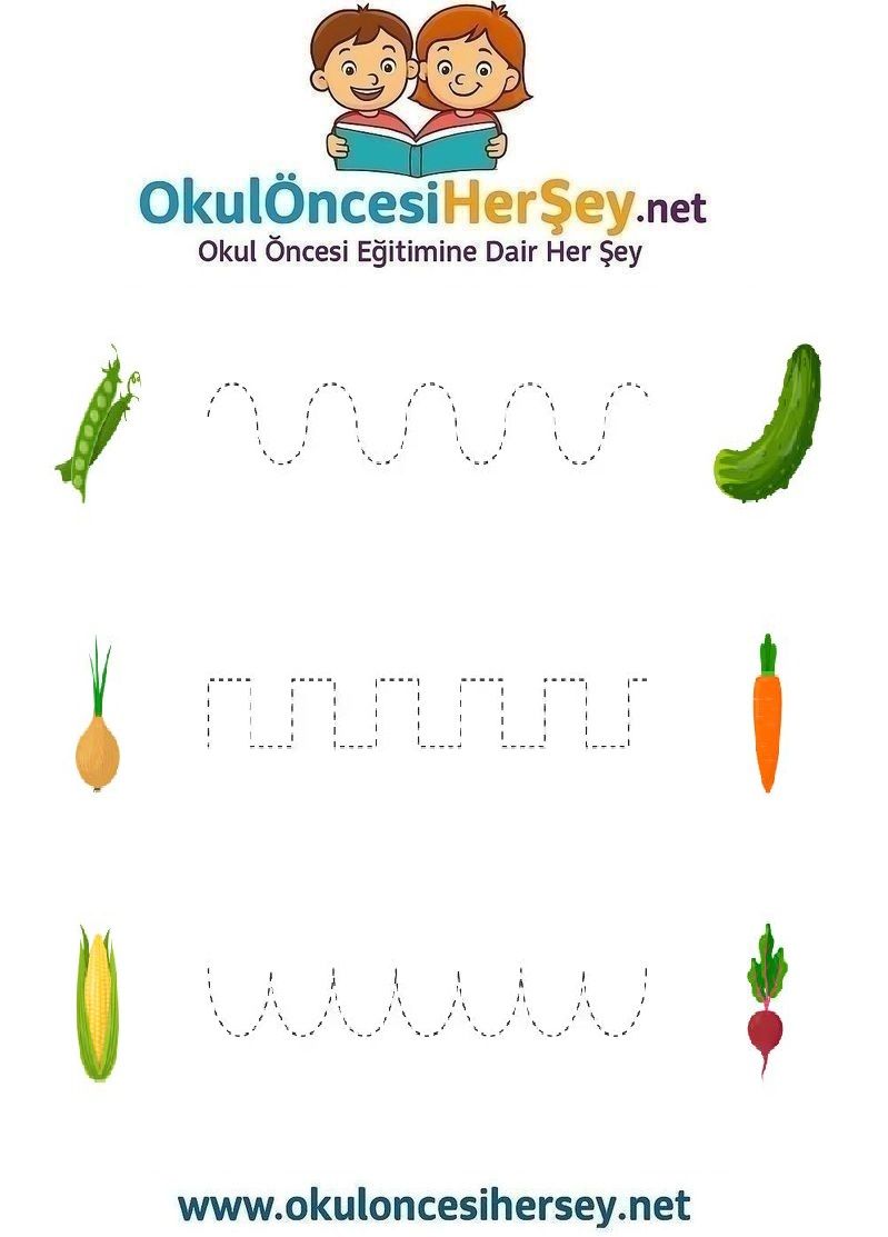 Çizgi Çalışmaları