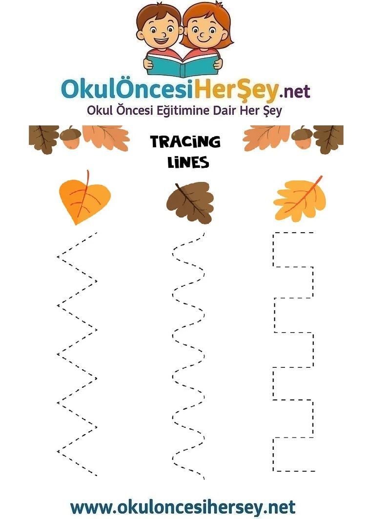 Çizgi Çalışmaları