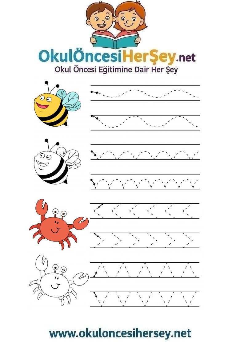 Çizgi Çalışmaları