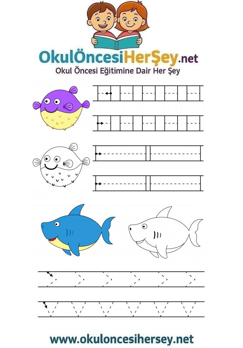 Çizgi Çalışmaları