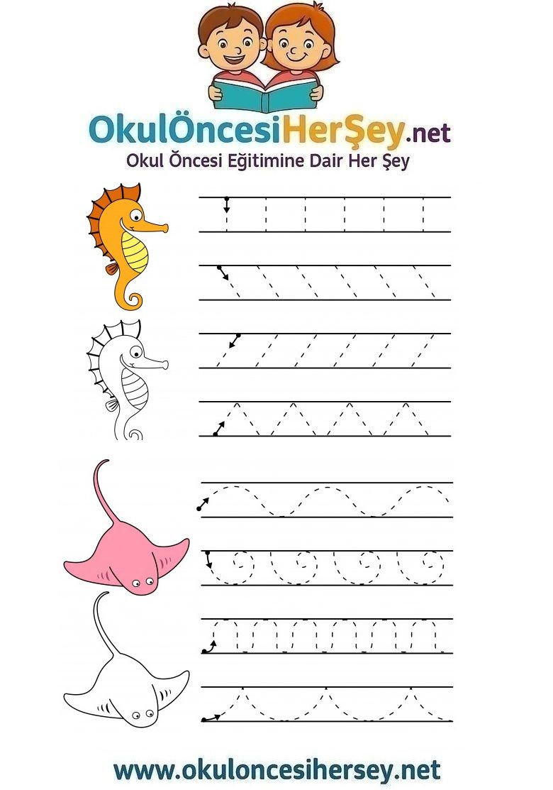 Çizgi Çalışmaları