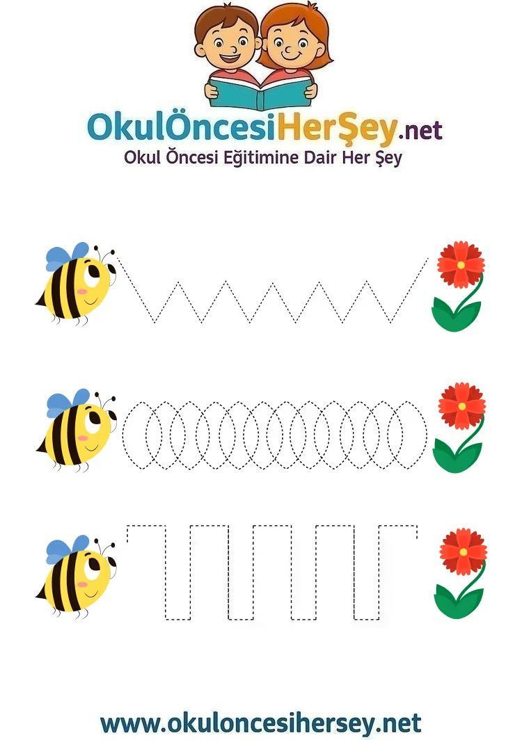 Çizgi Çalışmaları