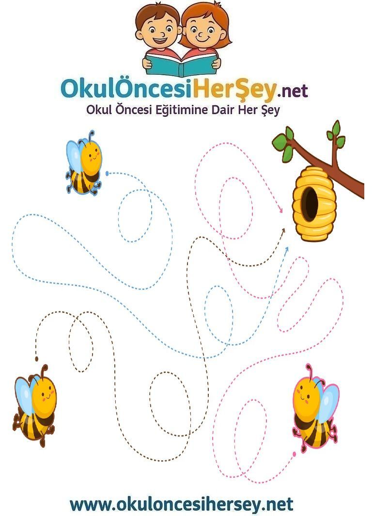 Çizgi Çalışmaları