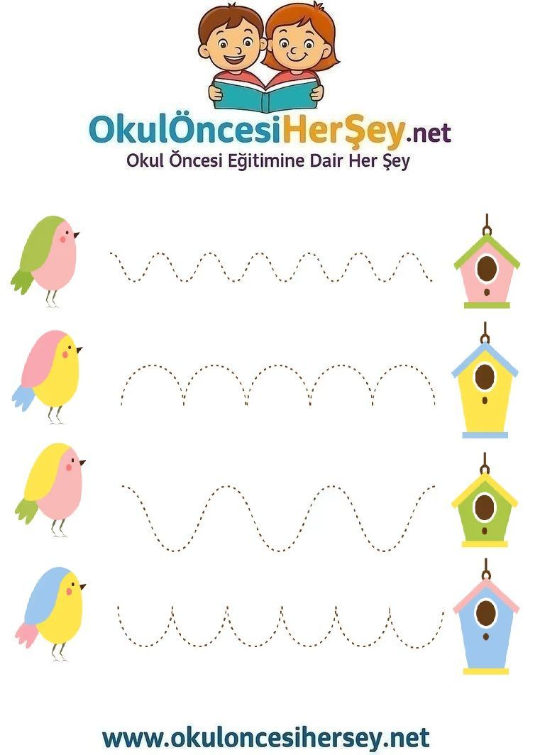 Çizgi Çalışmaları