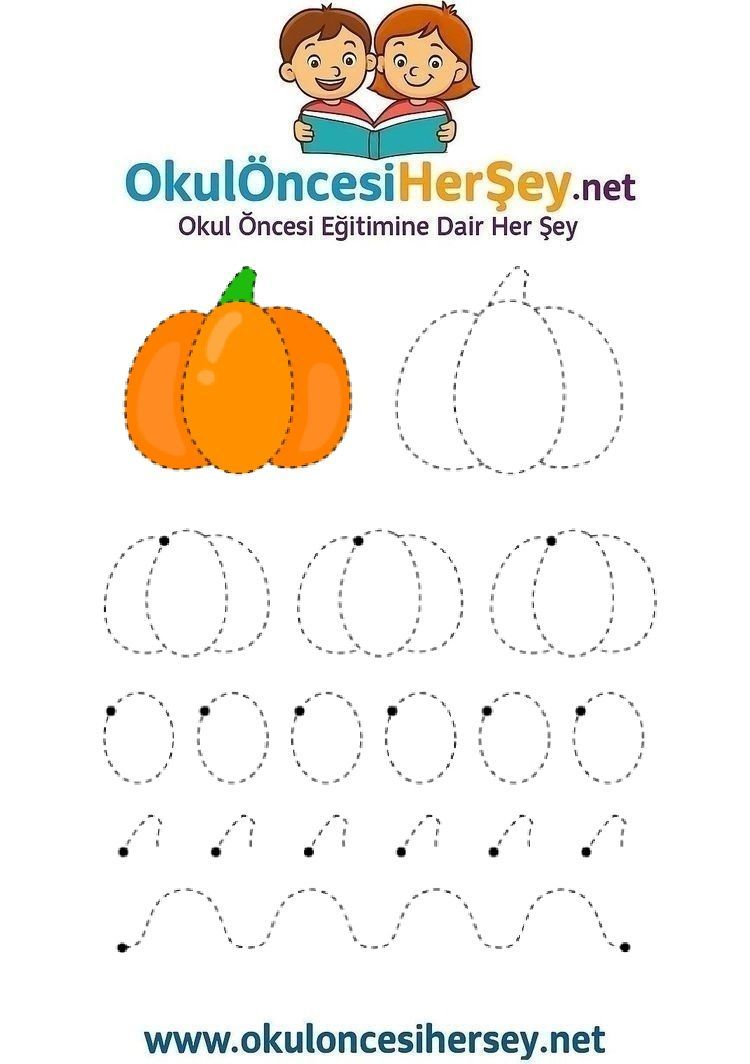 Çizgi Çalışmaları