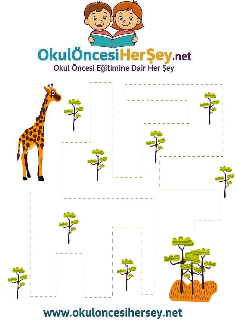 Çizgi Çalışmaları