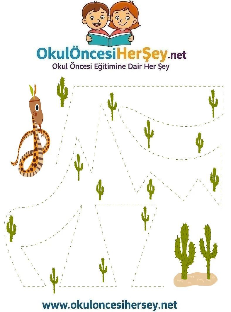 Çizgi Çalışmaları