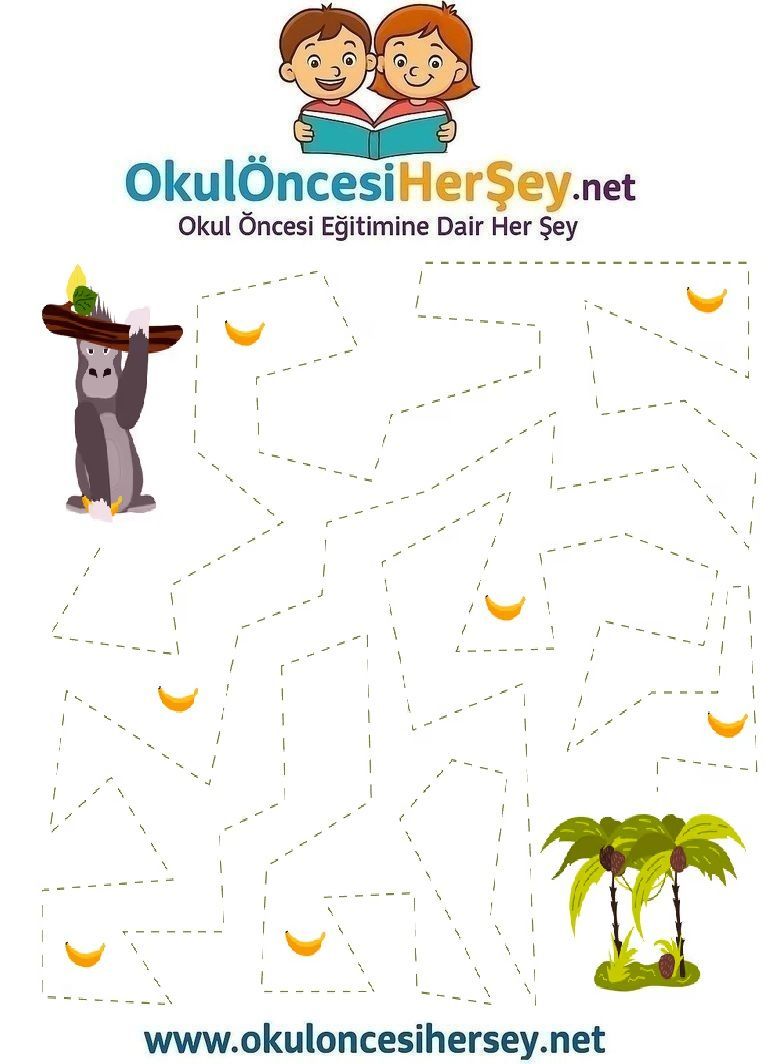 Çizgi Çalışmaları