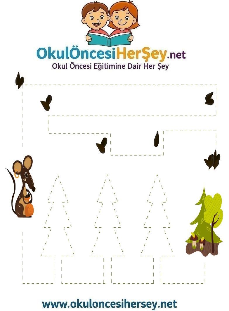 Çizgi Çalışmaları