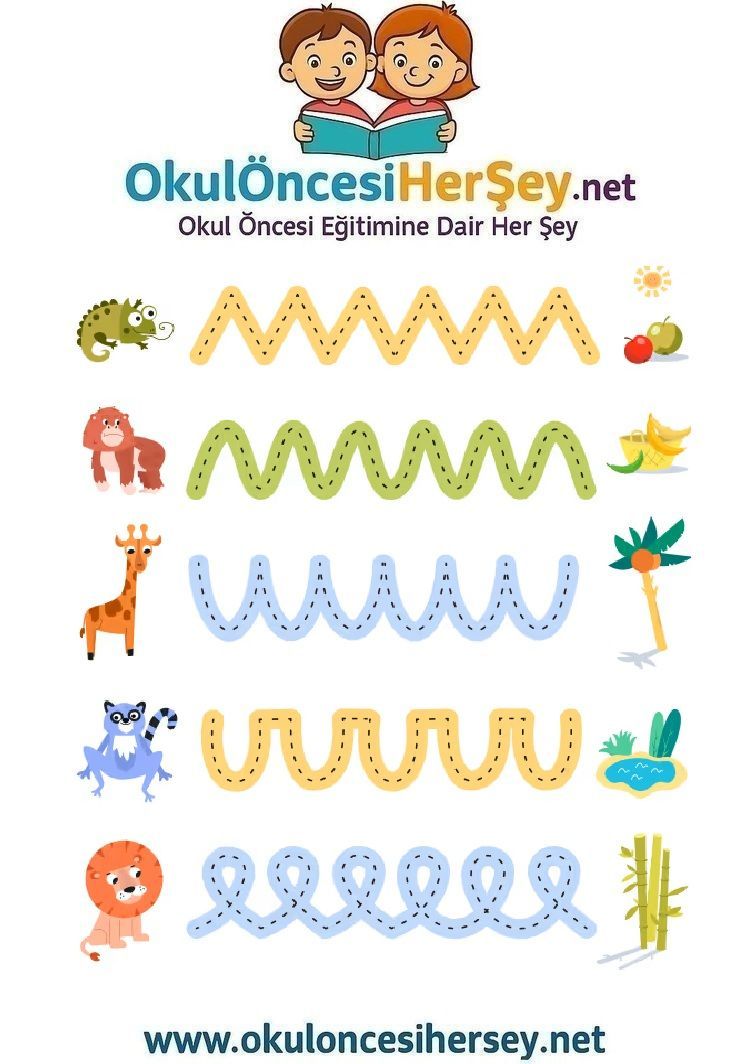 Çizgi Çalışmaları