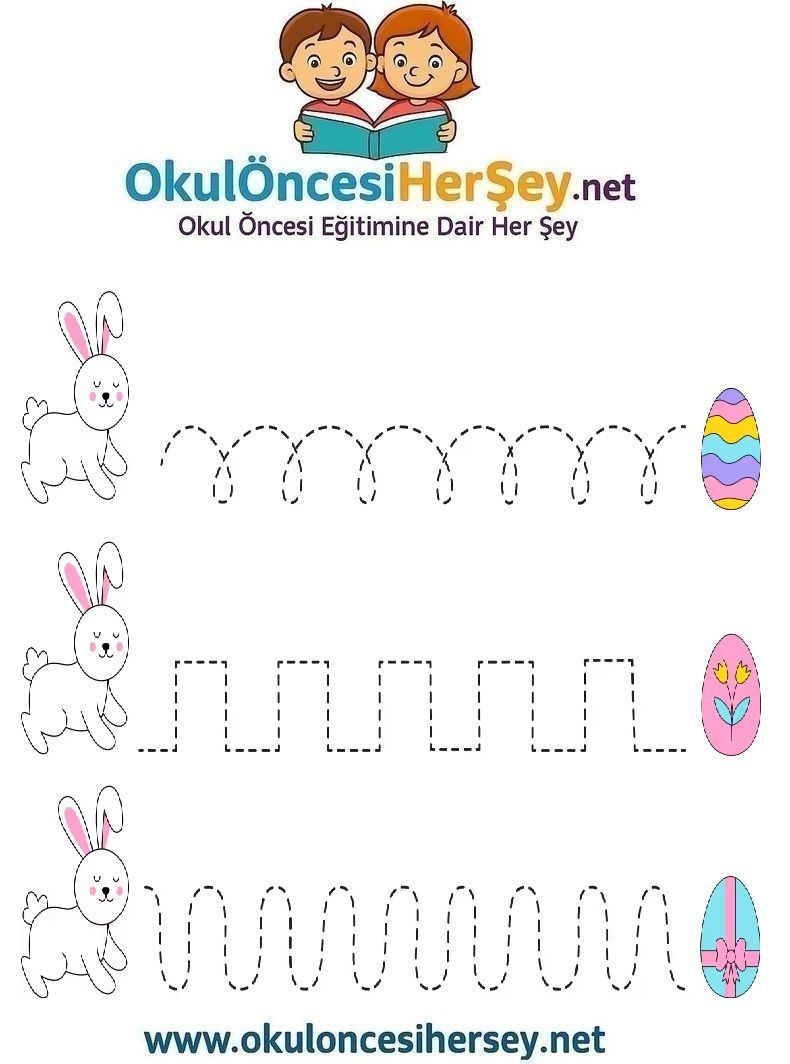 Çizgi Çalışmaları