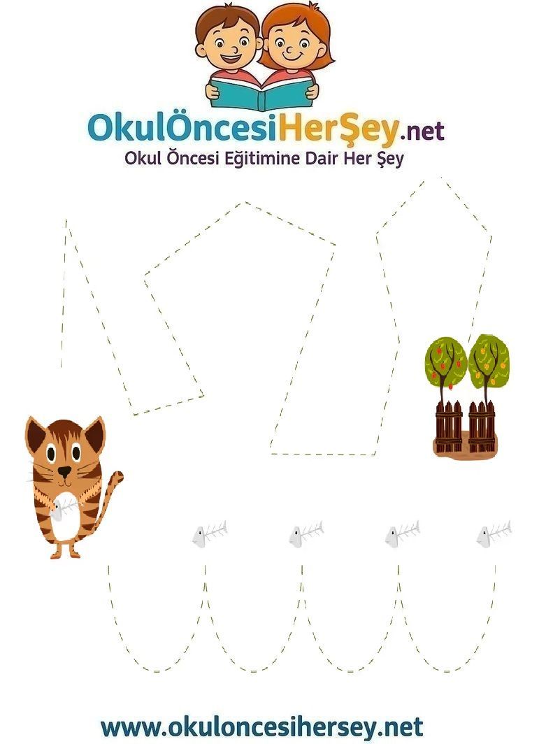 Çizgi Çalışmaları