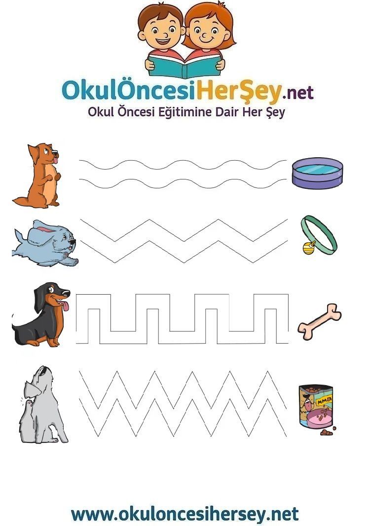 Çizgi Çalışmaları