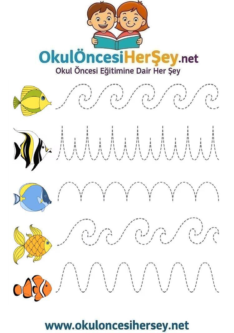 Çizgi Çalışmaları