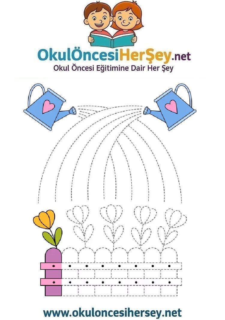 Çizgi Çalışmaları