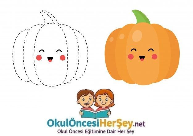 Çizgi Çalışmaları