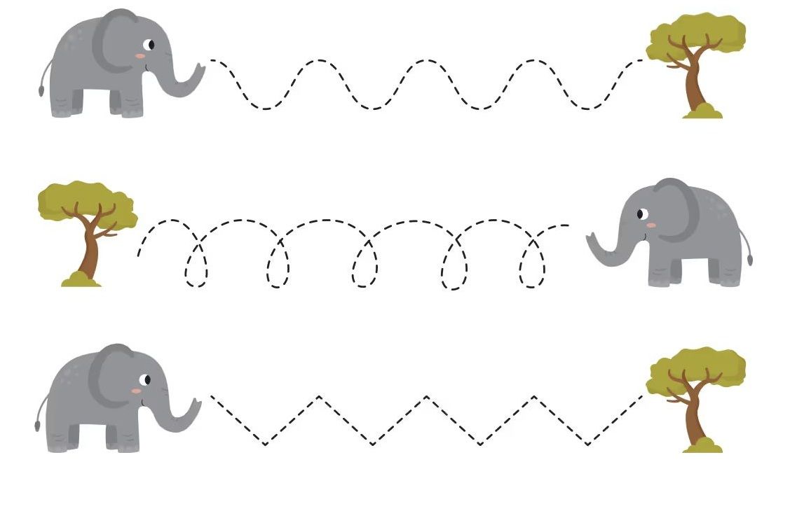 Çizgi Çalışmaları