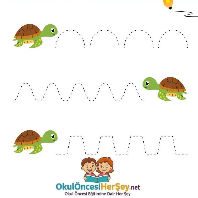 Çizgi Çalışmaları