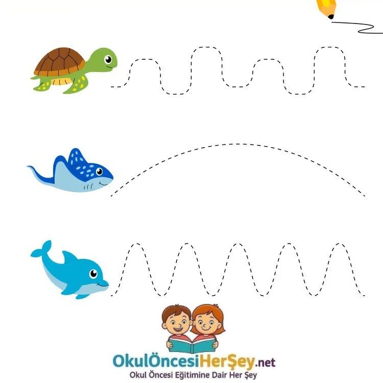 Çizgi Çalışmaları