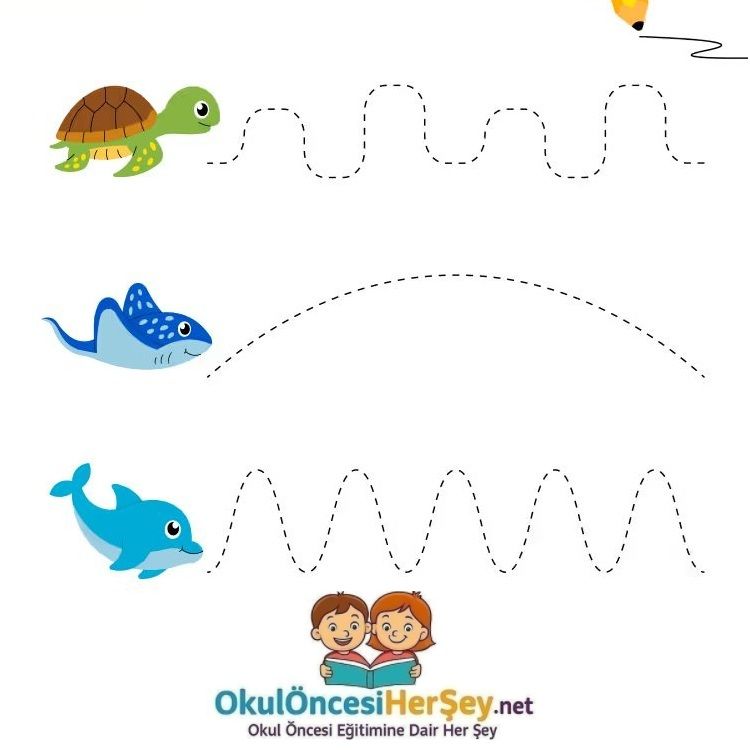 Çizgi Çalışmaları