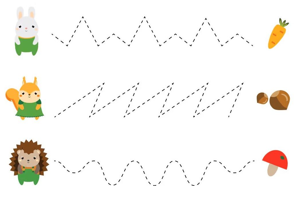 Çizgi Çalışmaları