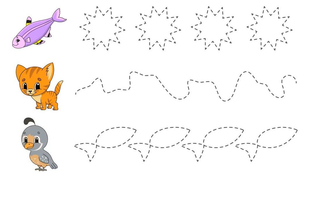 Çizgi Çalışmaları